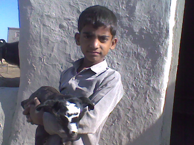 hasam